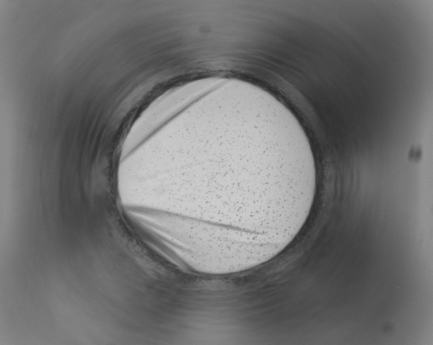 X0000113001023200910081153