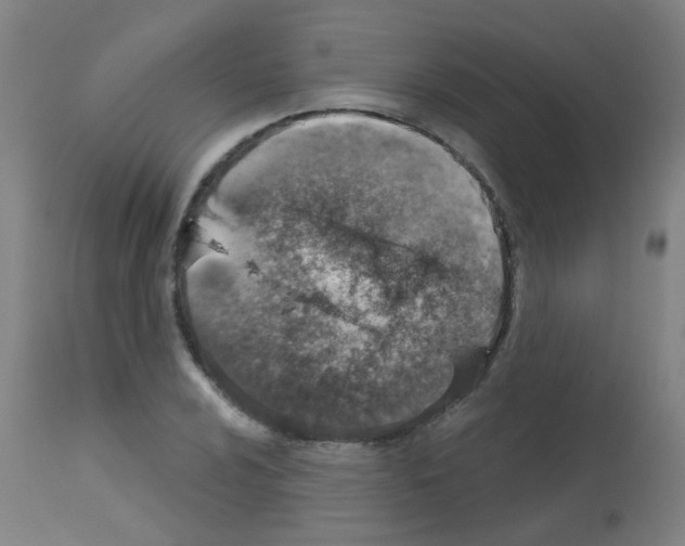 X0000113001024200910081153