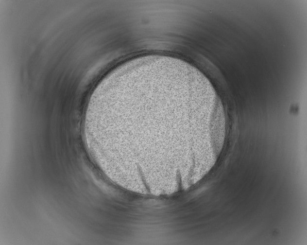 X0000113001027200910081153