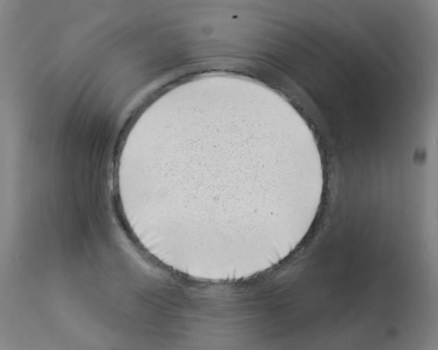 X0000113001028200910081153