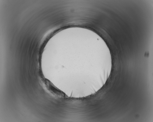 X0000113001030200910081153