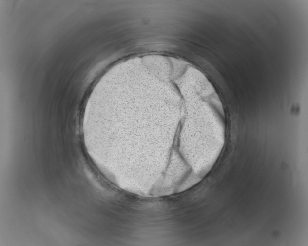 X0000113001031200910081153