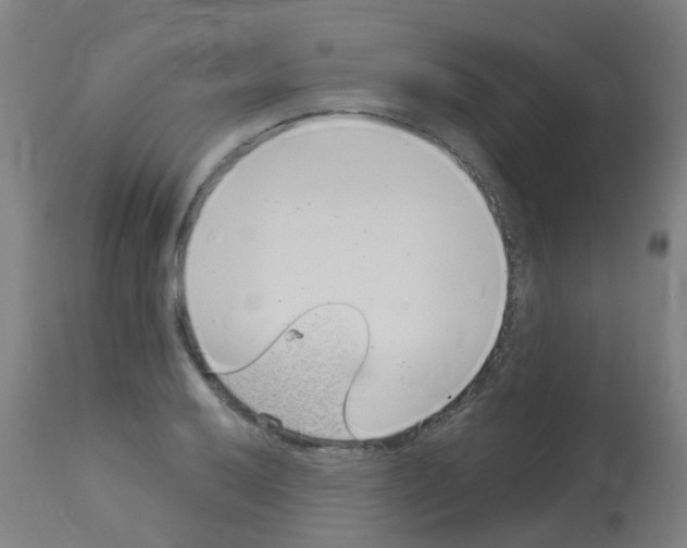 X0000113001032200910081153