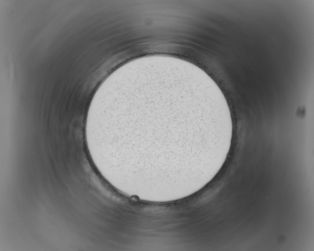 X0000113001033200910081153