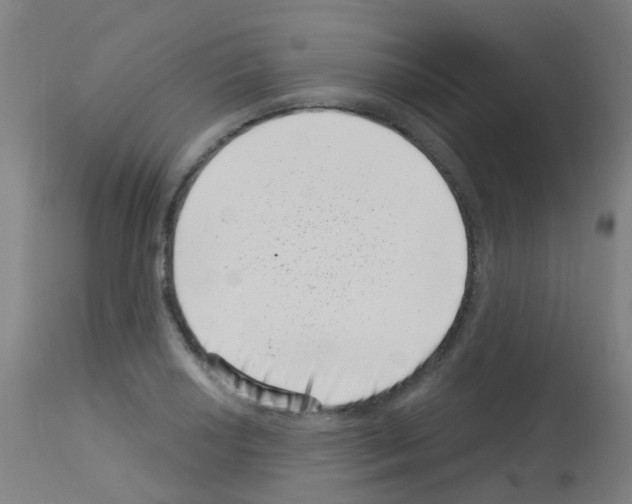 X0000113001034200910081153