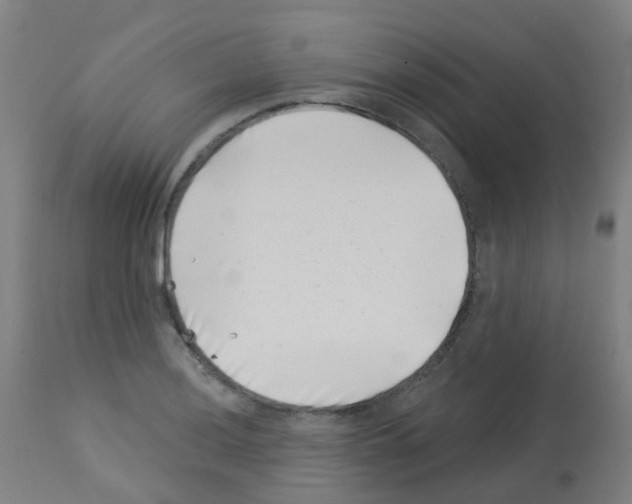 X0000113001036200910081153