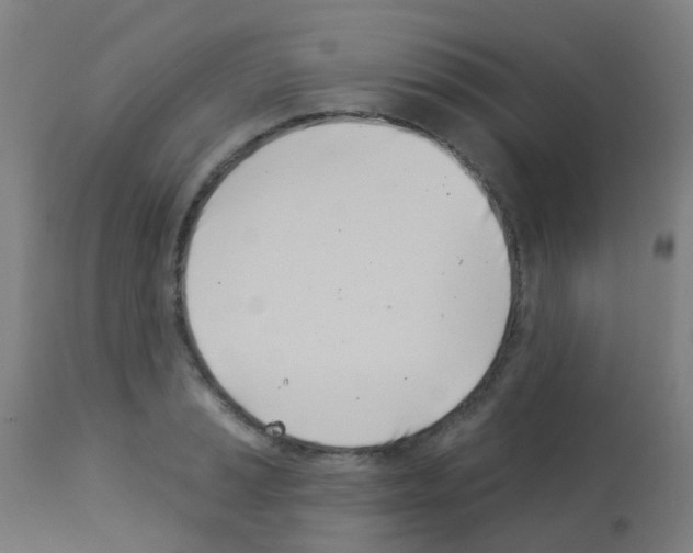 X0000113001037200910081153