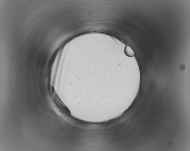 X0000113001038200910081153