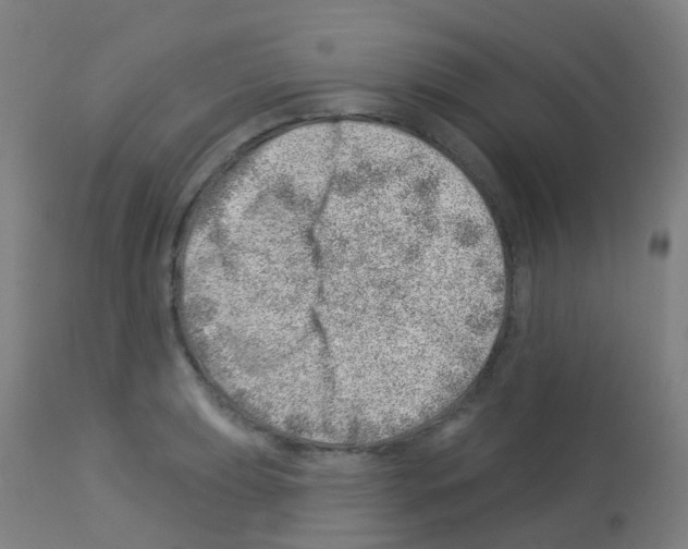 X0000113001039200910081153