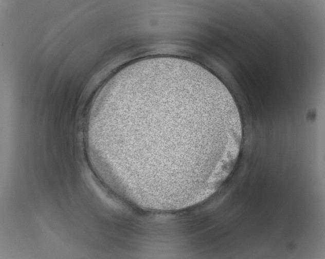 X0000113001043200910081153