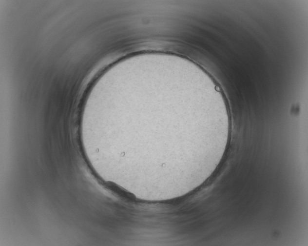 X0000113001045200910081153