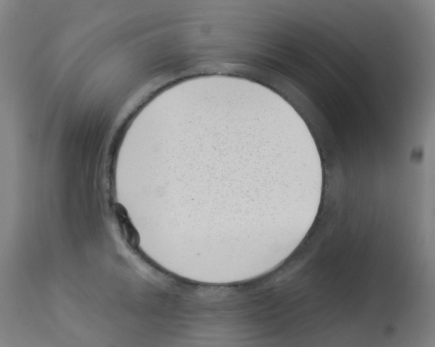 X0000113001046200910081153