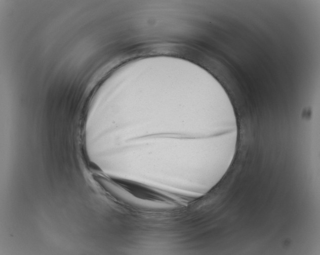 X0000113001047200910081153