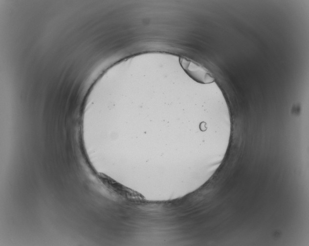 X0000113001048200910081153