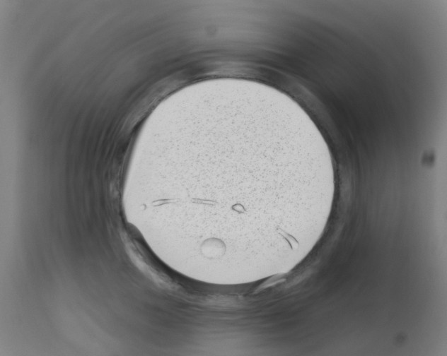 X0000113001049200910081153