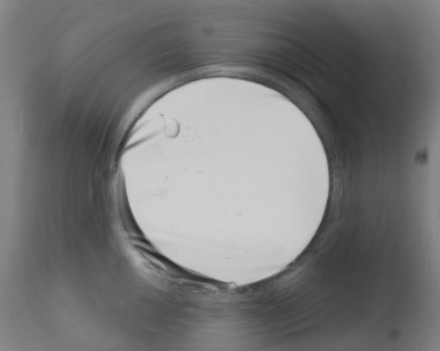 X0000113001050200910081153