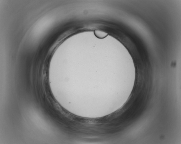 X0000113001052200910081153