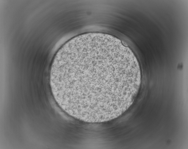 X0000113001053200910081153