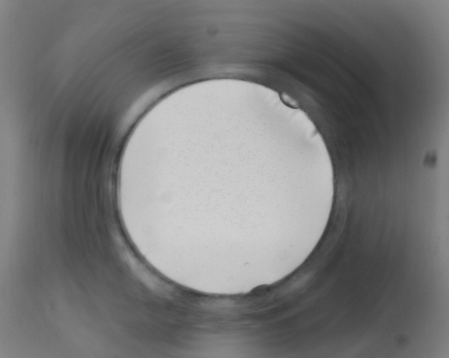 X0000113001054200910081153