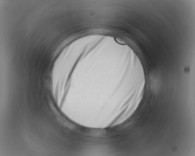 X0000113001055200910081153