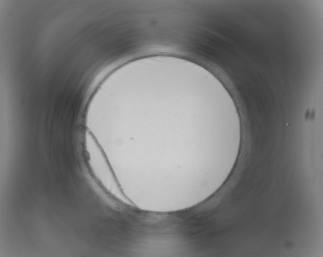 X0000113001056200910081153