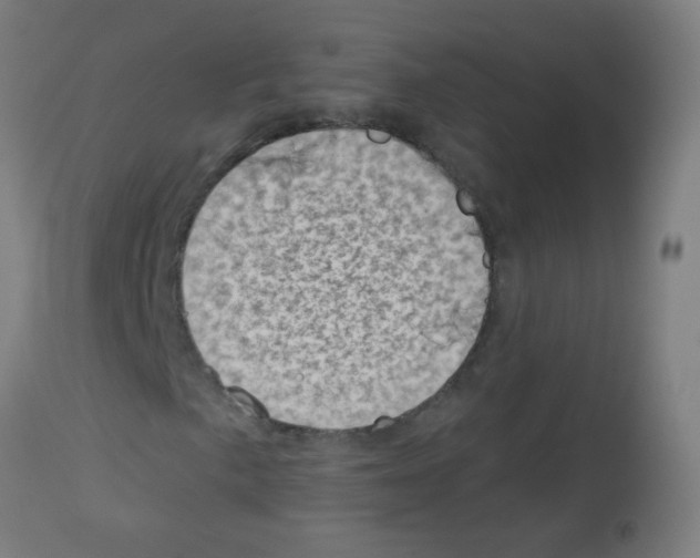 X0000113001057200910081152