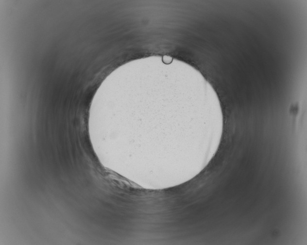 X0000113001058200910081152