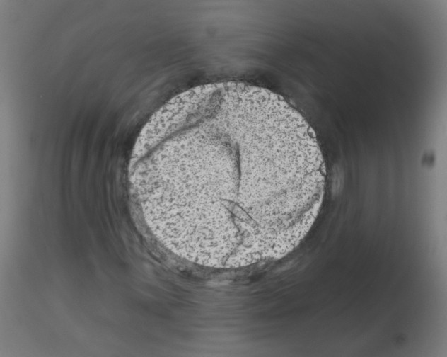 X0000113001059200910081152