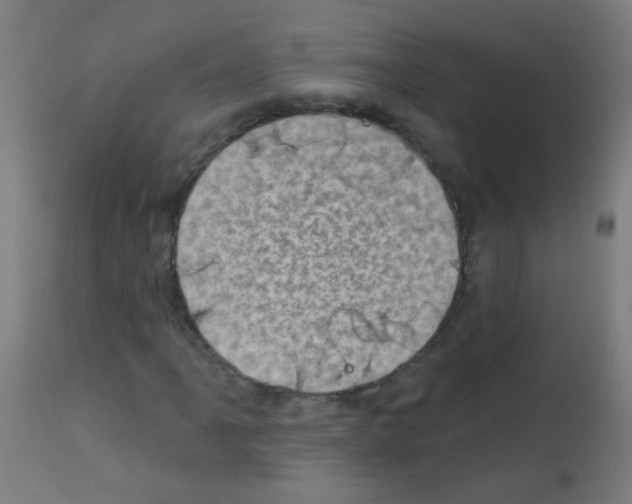 X0000113001061200910081152