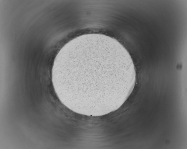 X0000113001062200910081152