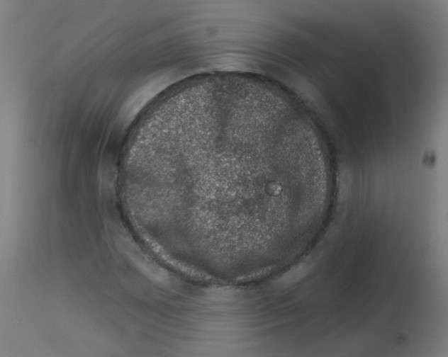 X0000113001065200910081152