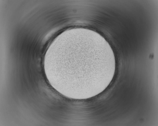 X0000113001066200910081152