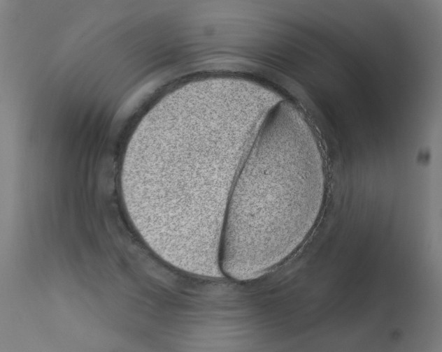 X0000113001067200910081152