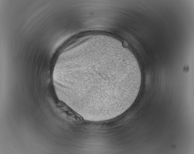 X0000113001069200910081152