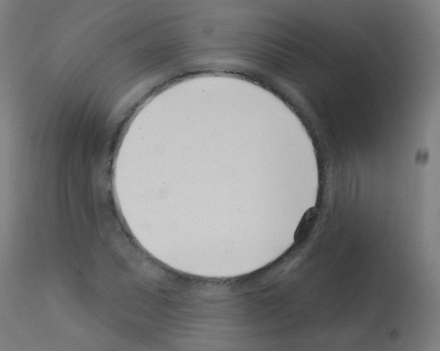 X0000113001071200910081152