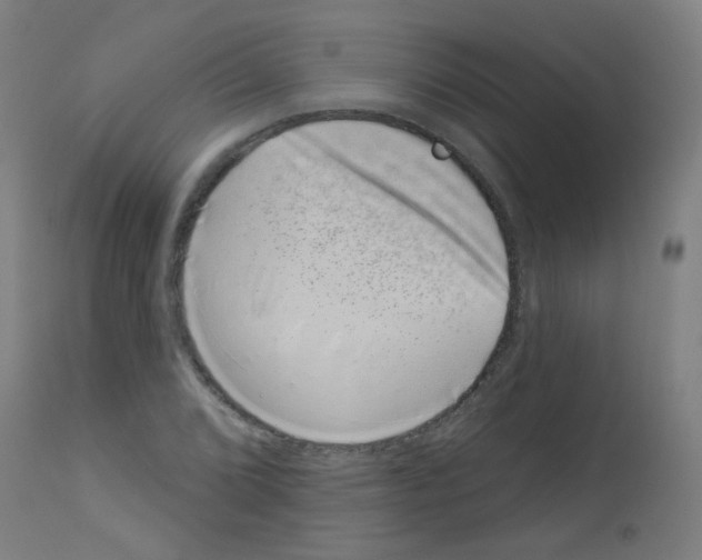 X0000113001072200910081152