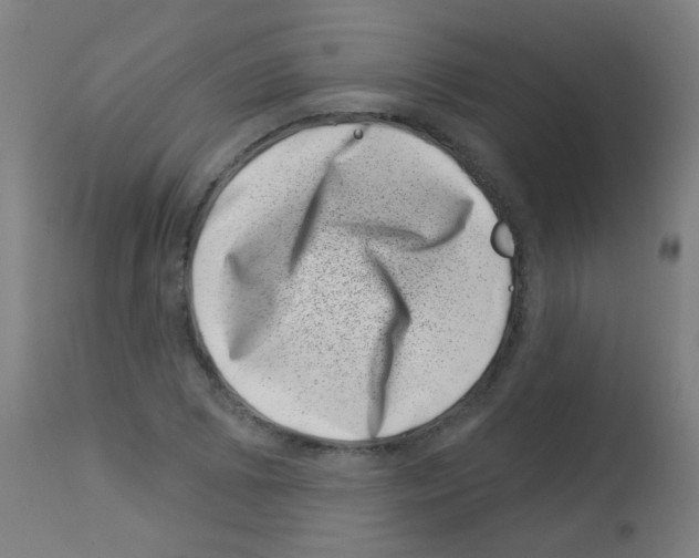 X0000113001073200910081152