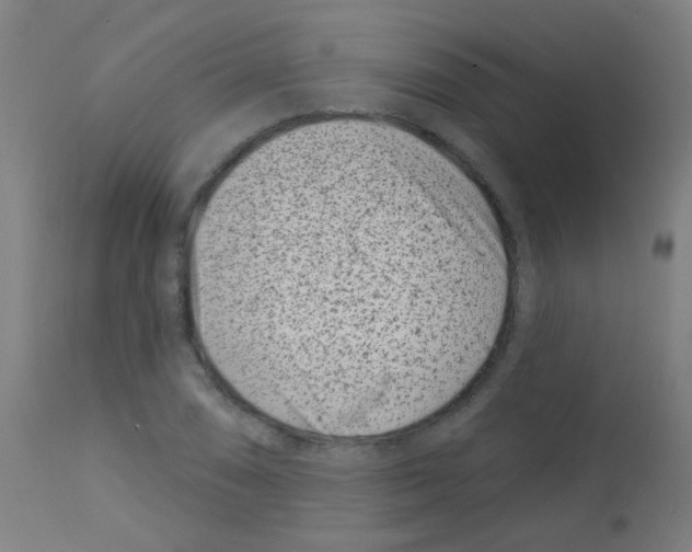 X0000113001074200910081152