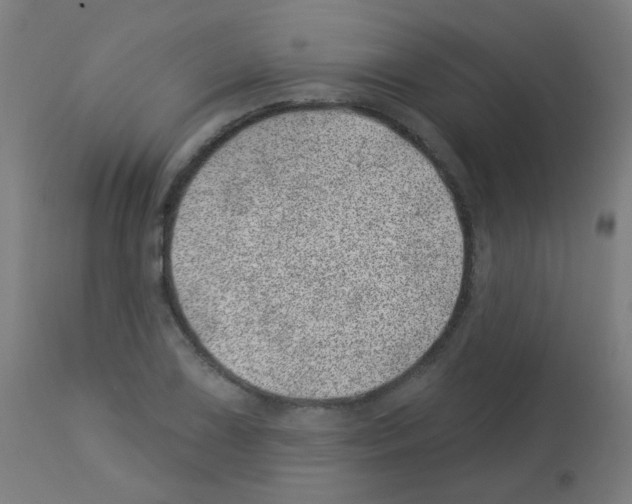 X0000113001075200910081152