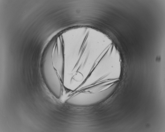 X0000113001076200910081152