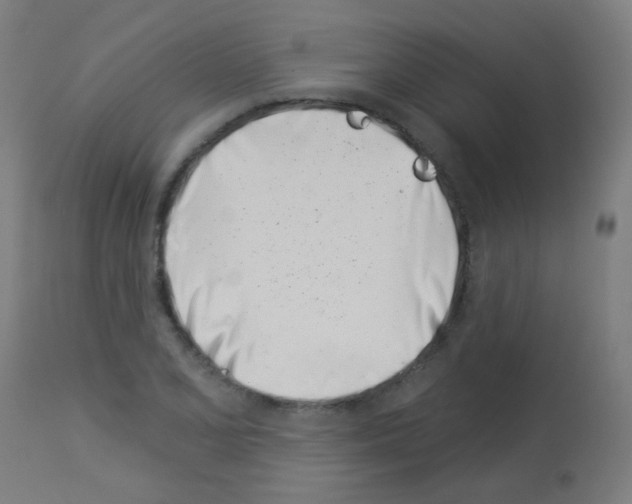 X0000113001077200910081152