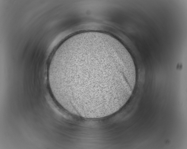 X0000113001078200910081152