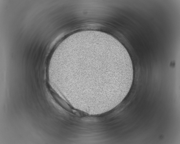 X0000113001083200910081152