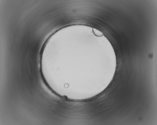 X0000113001084200910081152