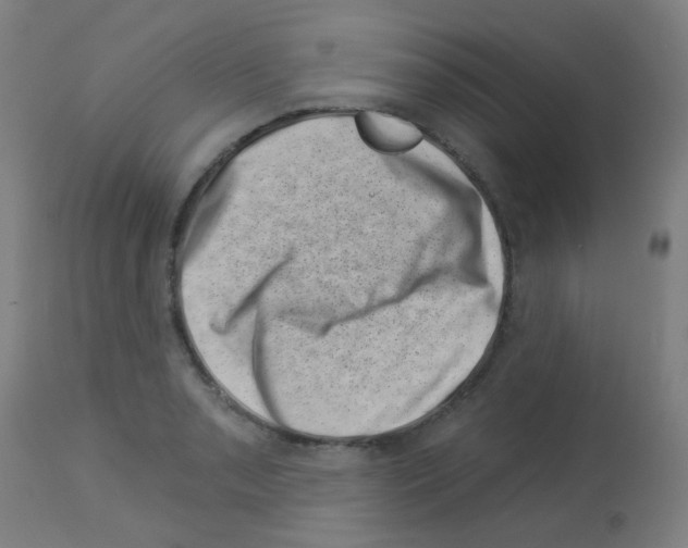 X0000113001085200910081152