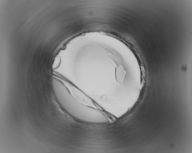 X0000113001089200910081152