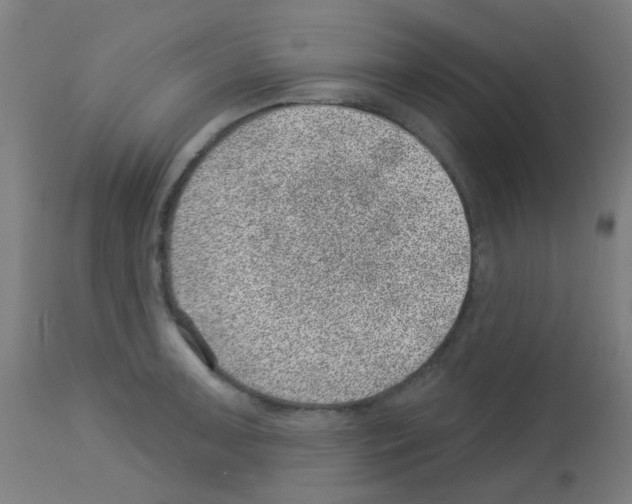 X0000113001091200910081152