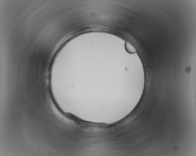 X0000113001095200910081152