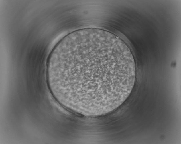 X0000113001096200910081152