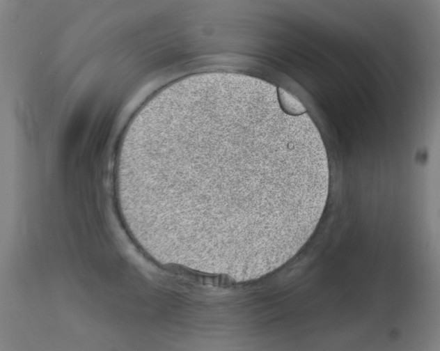 X0000113001099200910081152